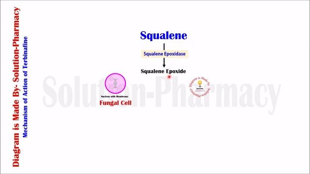 Terbinafine (Antifungal Drug) = Mechanism Of Action | Antifungal Medicines | Fungal Infections