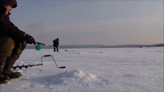 В поисках крупного окуня январь 2017 смотреть онлайн