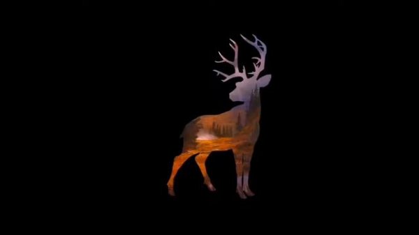 Deer Hunter 2018 #1 Первые Трофеи
