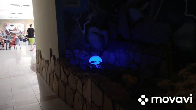 ТУРЦИЯ.ОТЕЛЬ PINE BEACH BELEK 💥 💥 💥  ПРИШЛИ НА ОБЕД.💝💝💝ВПЕРВЫЕ В ЖИЗНИ ПРОБУЮ ПАХЛАВУ🤣🤣🤣🤣🤣🤣