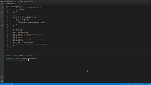 A Simple Port Scanner in GoLang смотреть онлайн