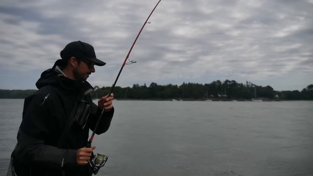 Pêche du bar en estuaire смотреть онлайн