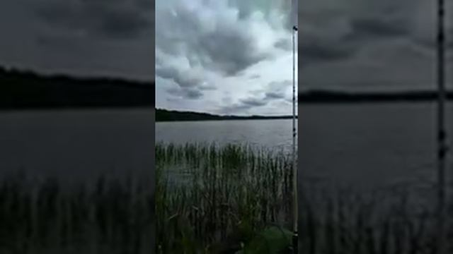 рыбалка и обзор озёр Мещерского заповедника: Святое, Белое, Иванковское, реки Пра смотреть онлайн