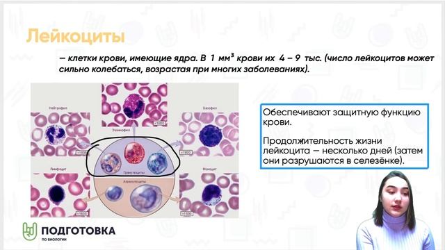 Голубая кровь реальна? Или все о крови смотреть онлайн
