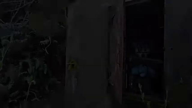 Unnerving Furry Images With Minecraft Cave Sounds
