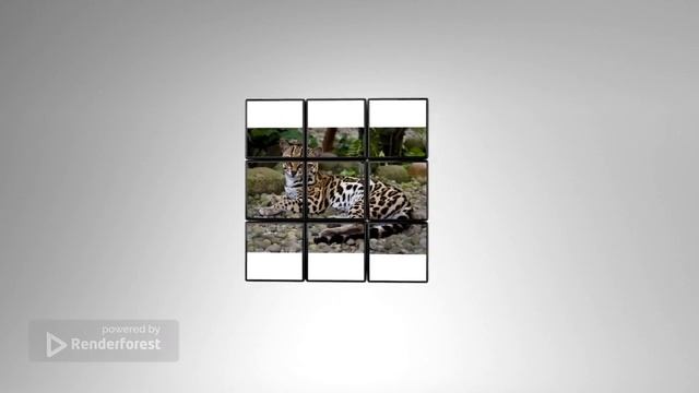 The World Number 1 cutest animal (Margay) смотреть онлайн