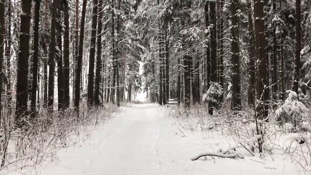 Жена предала, пока муж пахал ради семьи. Поучительные истории из жизни. Любовные аудио рассказы. смотреть онлайн