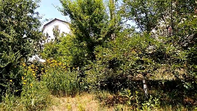 Видео отчёт о моих планах на новый дизайн двора. смотреть онлайн