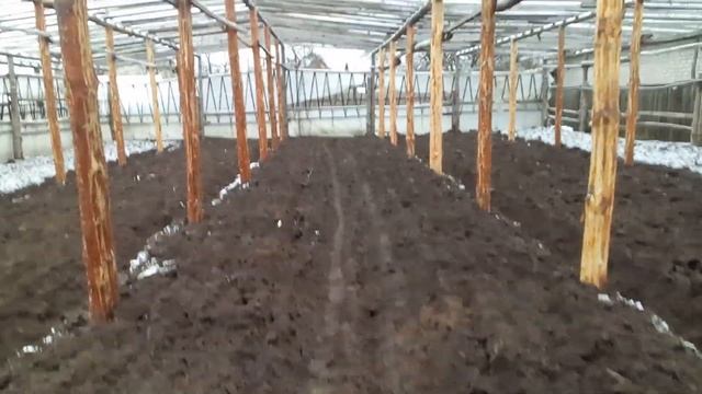 Запахал теплицу декабрь 2018. смотреть онлайн