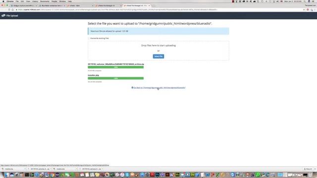 How To Install BlueRadio WordPress theme ? смотреть онлайн