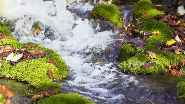 Transform your destiny with the SA TA NA MA mantra. смотреть онлайн