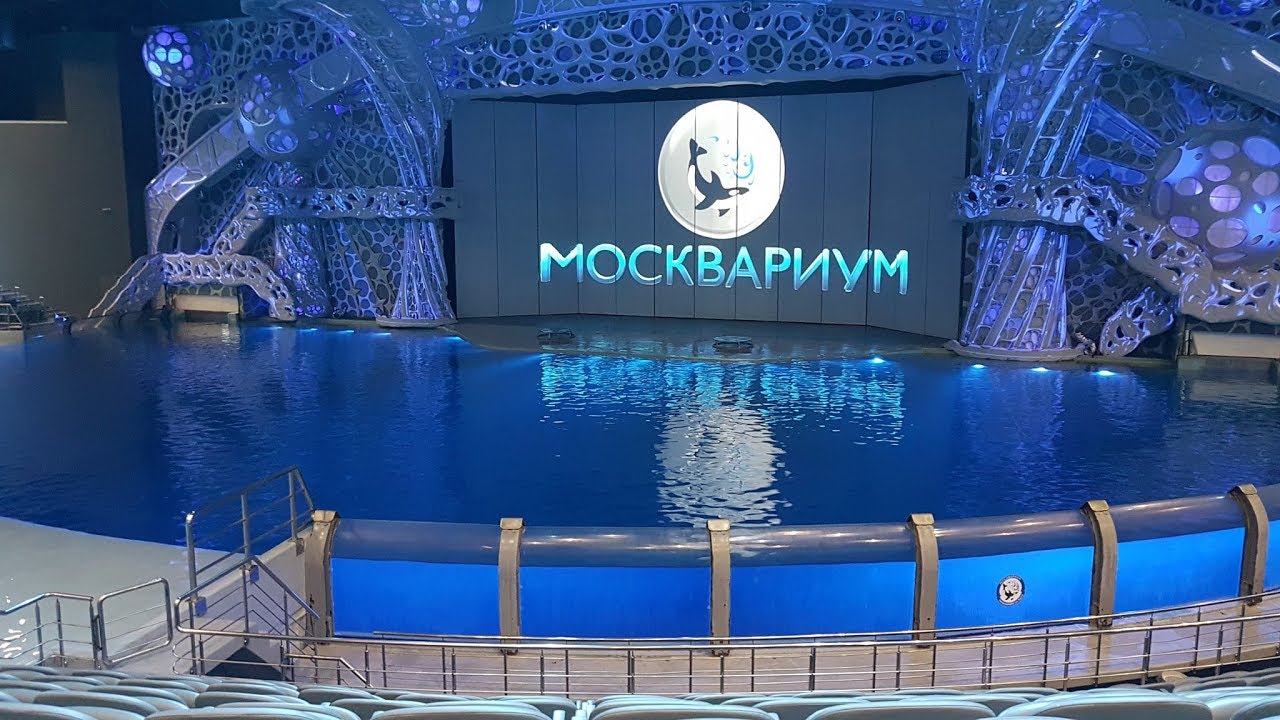 Москвариум смотреть онлайн