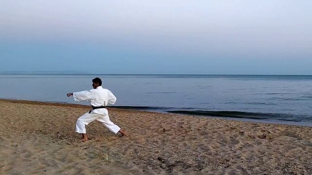 Все ката Шотокана на берегу моря - 21, 22. Нидзюшихо, Мейкио - 1, Мейкио - 2. смотреть онлайн