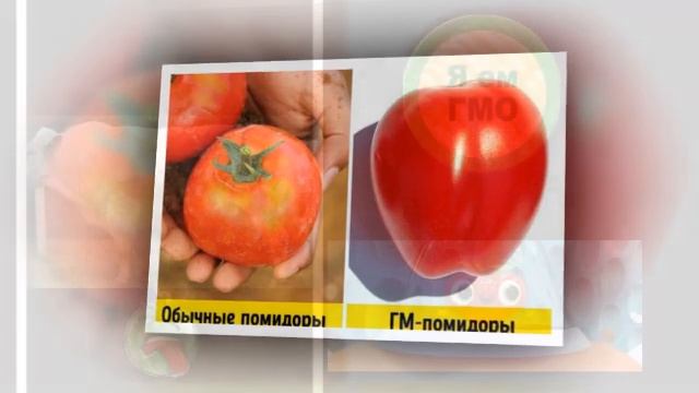 ? ГМО ? Низкое качество продуктов ? Просрочка смотреть онлайн