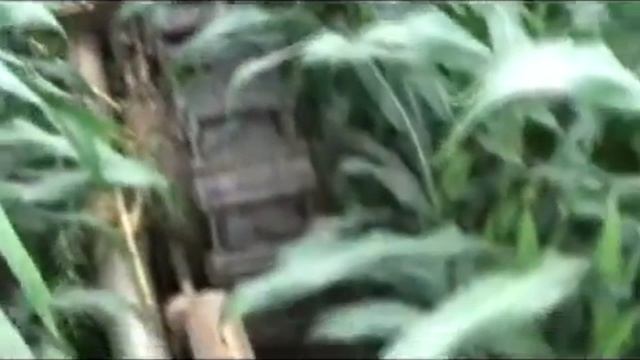 Pivot Tracks смотреть онлайн