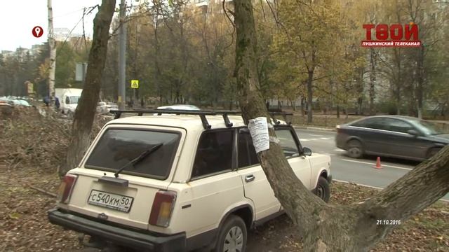 Лицо города станет опрятнее смотреть онлайн