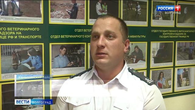 Два незаконных карьера обнаружили в Волгоградской области.mp4 смотреть онлайн
