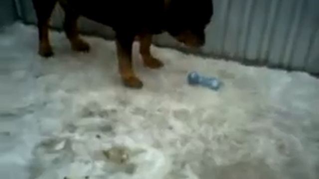 Дик смотреть онлайн
