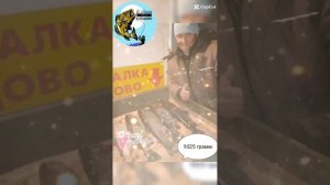 Клёвая рыбалка в Лёдово