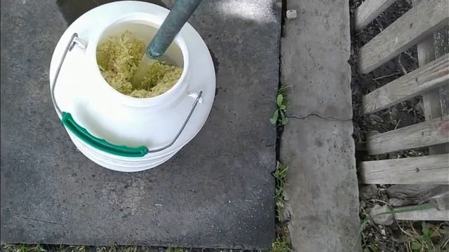 Домашний квас из цветков бузины!!! смотреть онлайн