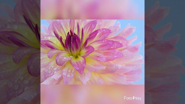 сегодня я видел старушку она ....! смотреть онлайн