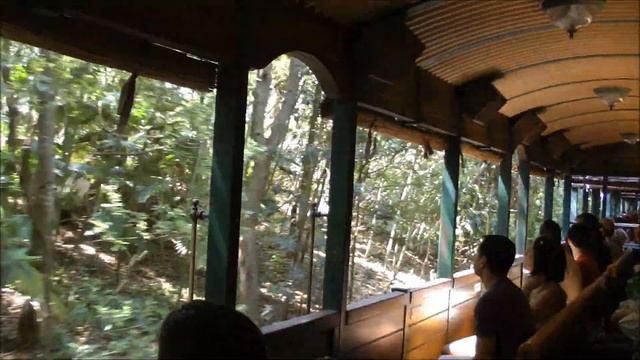 Wildlife Express Train, Animal Kingdom, Walt Disney World HD (1080p) смотреть онлайн