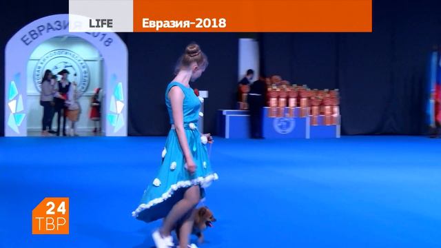 Евразия-2018 смотреть онлайн