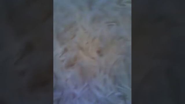 снимать ли мне На новую камеру смотреть онлайн