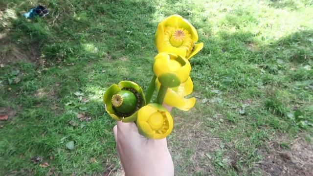 Lifestyle /  VLOG: ЗАКРЫВАЕМ КУПАЛЬНЫЙ СЕЗОН / 13.08.2022