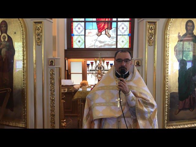 Проповедь в праздник Всех святых, в земле Русской просиявших. Протоиерей Владимир Кочубей. смотреть онлайн