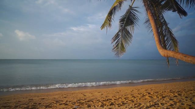 БЕЛЫЙ ШУМ, Звуки Моря смотреть онлайн