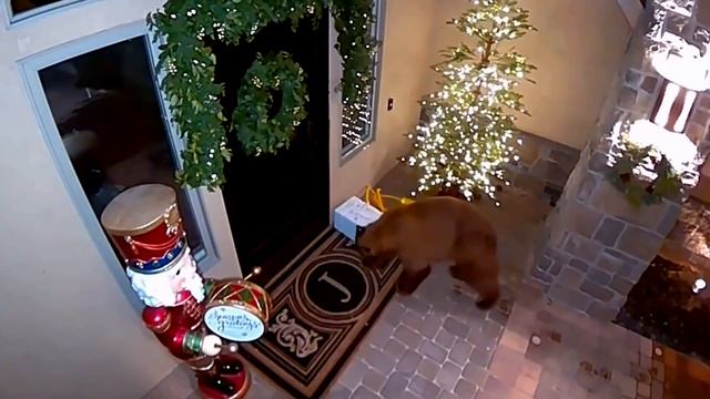 Топ 50 невероятных моментов, снятых на камеру смотреть онлайн