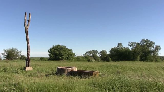 Все бросили бабушку одну в глуши доживать последние дни. Но пришла дикая кошка и все изменилось смотреть онлайн