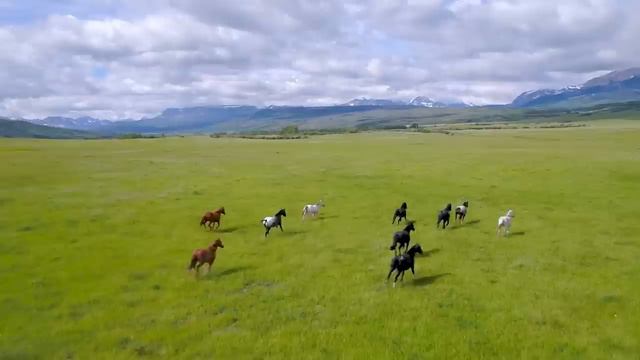 Música curativa y relajante,que libera energía negativa,los sonidos de la naturaleza calman la ment смотреть онлайн