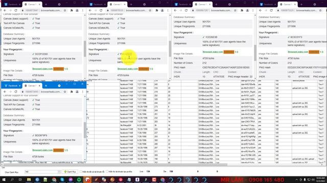 Ninja chrome antidetect browser| Thay đổi Canvas fingerprinting |Phần mềm marketing Ninja смотреть онлайн