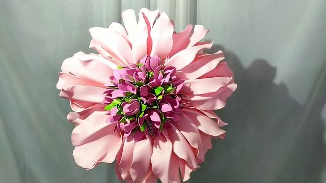 Scabiose flower / Цветок скабиозы смотреть онлайн