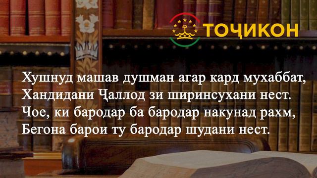 Ҳар марди шутурдор Увайси Қарани нест ... Ашъори Мавлоно Балхӣ \ اشعار مولانا بلخی \ TOJIKON смотреть онлайн