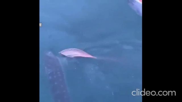 вечер 14.08 5 смотреть онлайн
