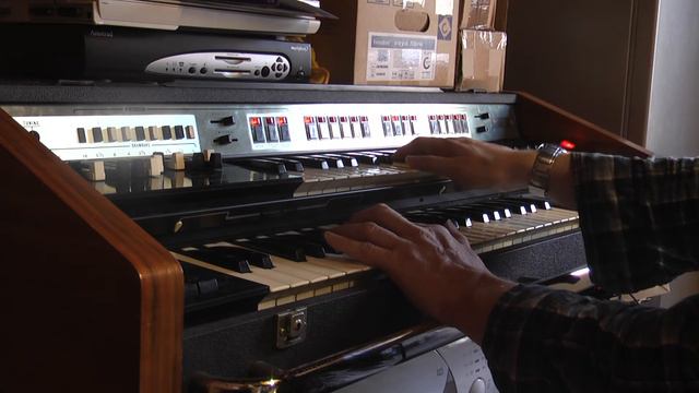 Farfisa Professional 110R Organ: 