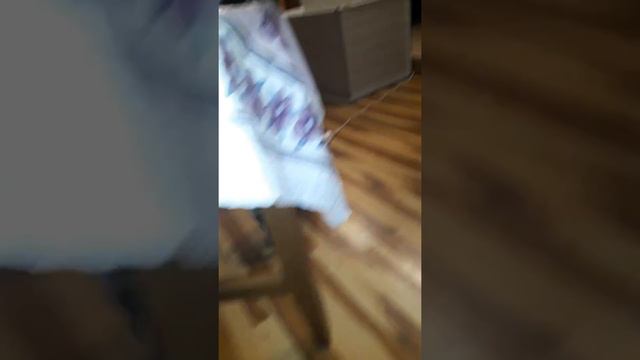 Наша кукла АВМКС КУБА Американский Булли и ам.стаффы смотреть онлайн