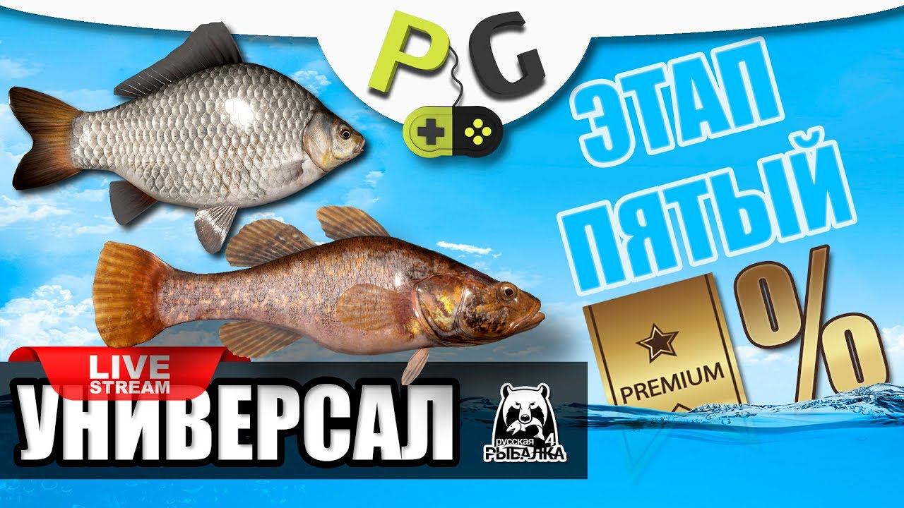Русская Рыбалка 4 - Стрим Прокачка УНИВЕРСАЛА для пятого этапа, Часть #5 Качаем донки в СЧ смотреть онлайн