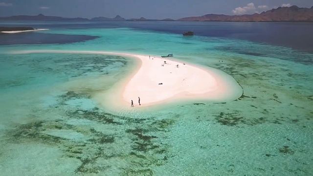 The Wonders of Komodo National Park смотреть онлайн