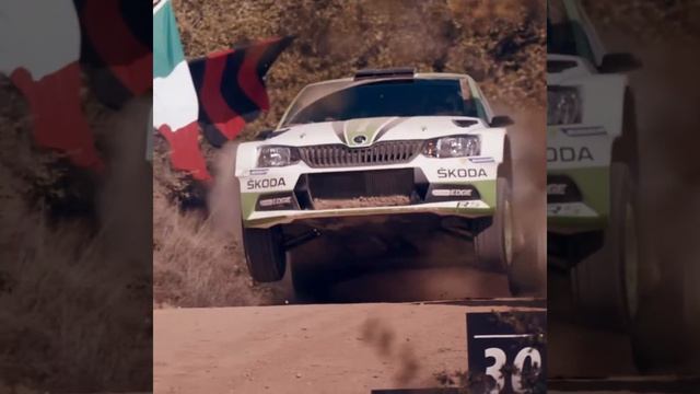 SKODA FABIA R5 — троекратный чемпион! смотреть онлайн