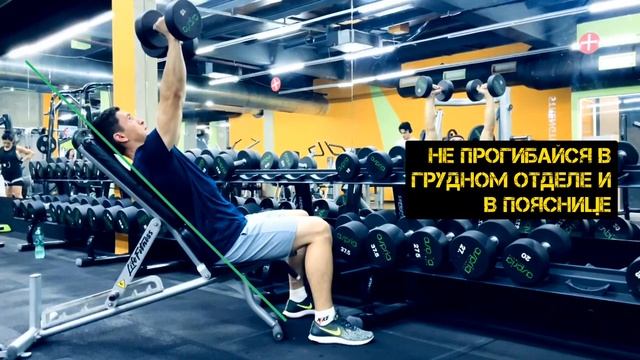 Жим гантелей сидя 45°. Акцент на переднюю дельту смотреть онлайн
