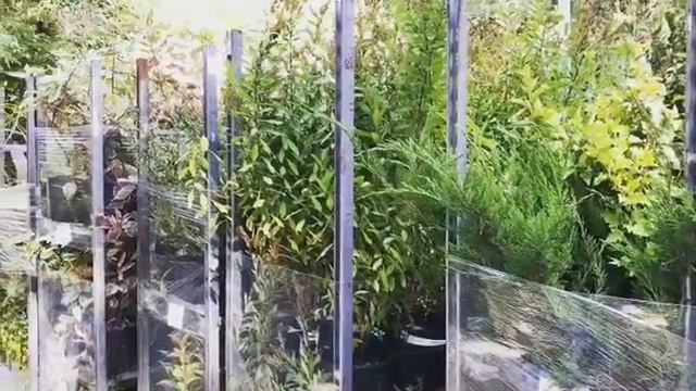 Подготовка стенда от садового центра "Green Service" на Almaty Garden Show 2017 смотреть онлайн