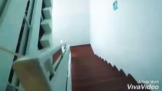 2 ЧАСТЬ О МИРЕ ЖИВОТНЫХ/ЧТО ДЕЛАЮТ ЖИВОТНЫЕ В ШКОЛЕ?