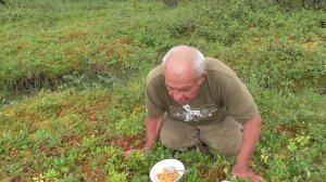 Морошка со сгущёнкой- пальчики оближешь
