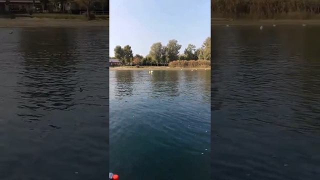 Kayak viking con fuoribordo 1,3 cv смотреть онлайн