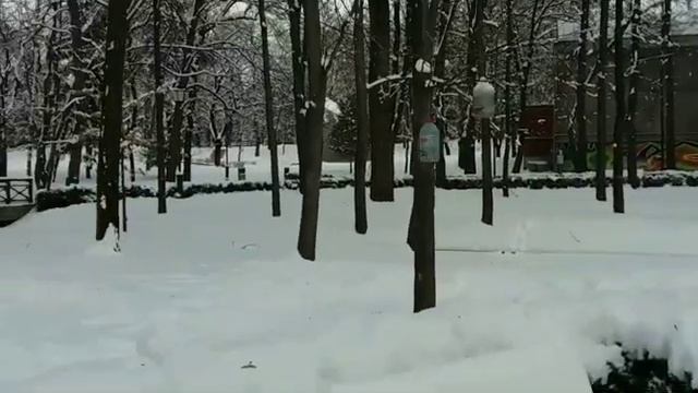 Однажды в зимнюю пору ..