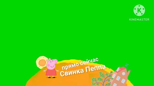 Плашка хромакей прямо сейчас свинка пеппа смотреть онлайн